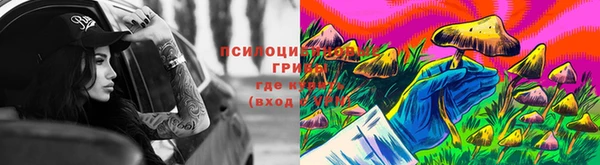 тгк Алексеевка