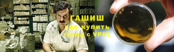 гашик Алексин