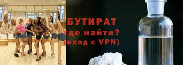 гашик Алексин