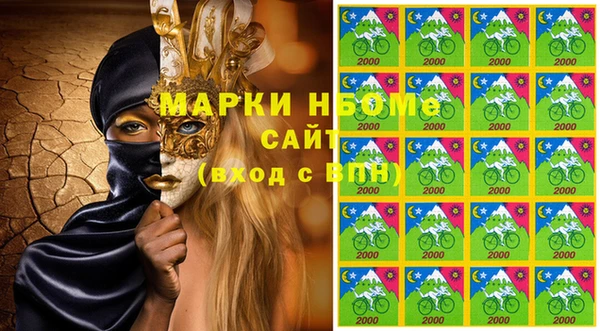 гашик Алексин
