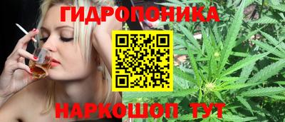 гашик Балаково